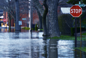 La tragedia de las inundaciones en Europa Central: El aumento de víctimas mortales conmueve a la región