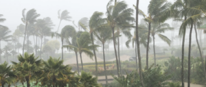 Helene: La Peor Tormenta en EEUU Desde Katrina con 200 Muertes devastadoras